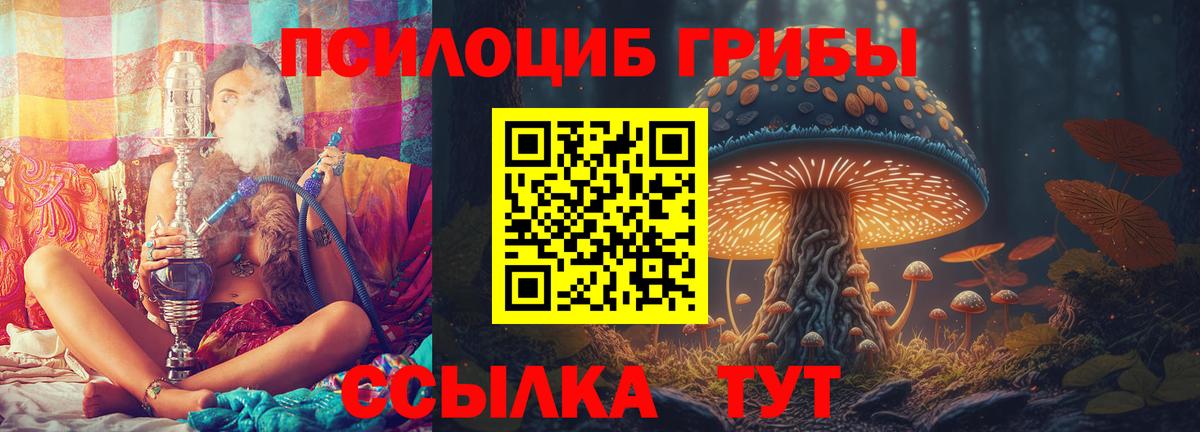 Галлюциногенные грибы Cubensis  Вход с VPN  Назрань 