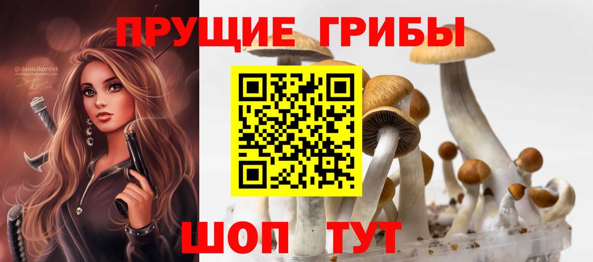 Бошки Шишки Назрань